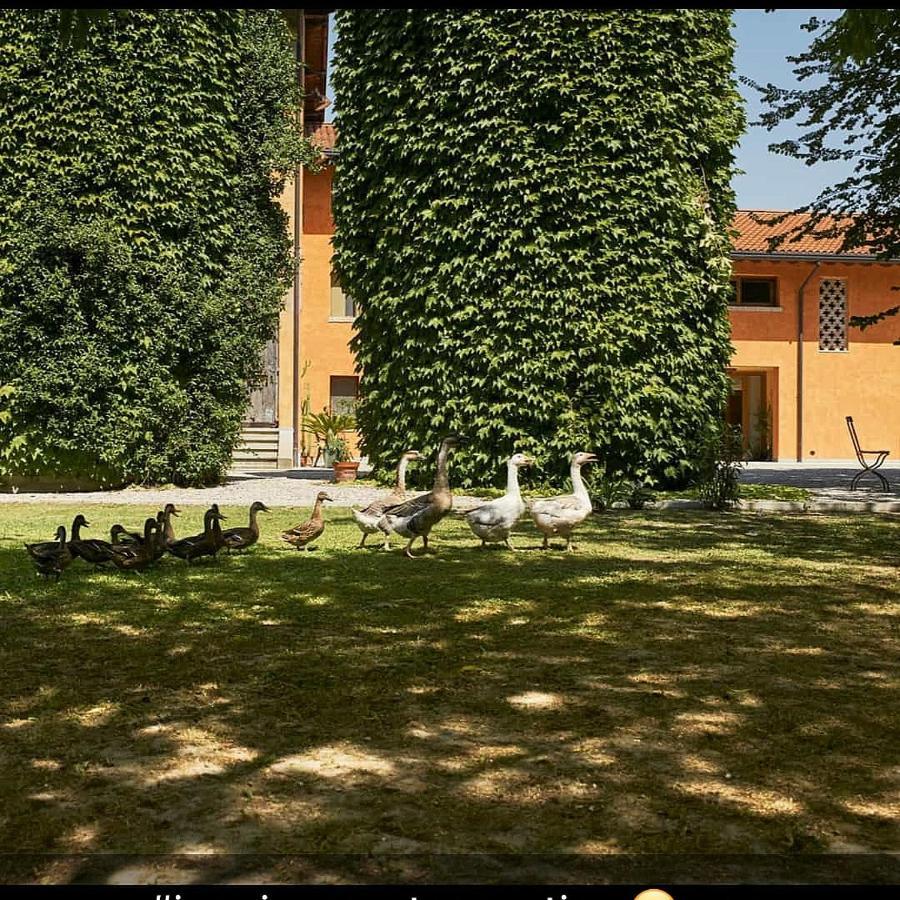 Al Canton Agriturismo Di Design San Michele al Tagliamento Exterior foto